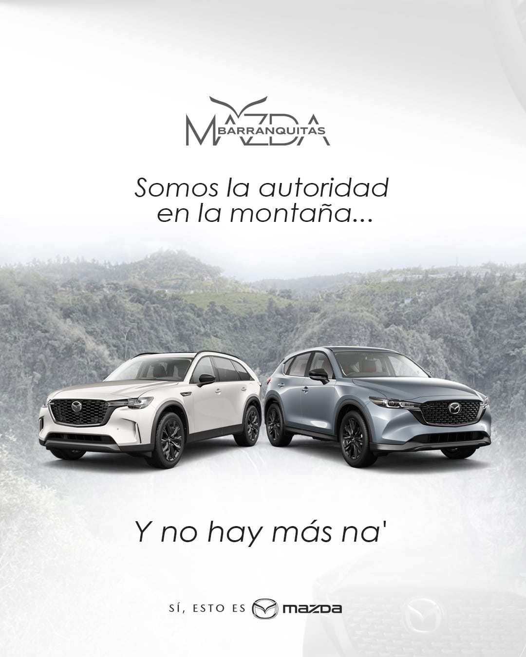 Nuestras ofertas